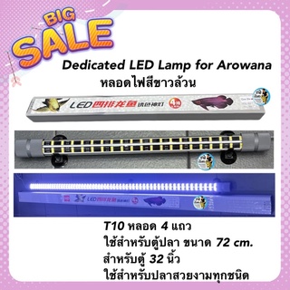 Dedicated LED Lamp for Arowana หลอดไฟสีขาวล้วน  T10 หลอด 4 แถวใช้สำหรับตู้ปลา ขนาด 72 cm. สำหรับตู้ 32 นิ้ว