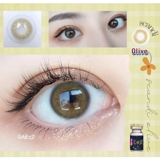 คอนแทคเลนส์ Scandi Gray , Brown , Olive - Gaezz Secret ขนาดมินิ มีสายตาถึง -10.00