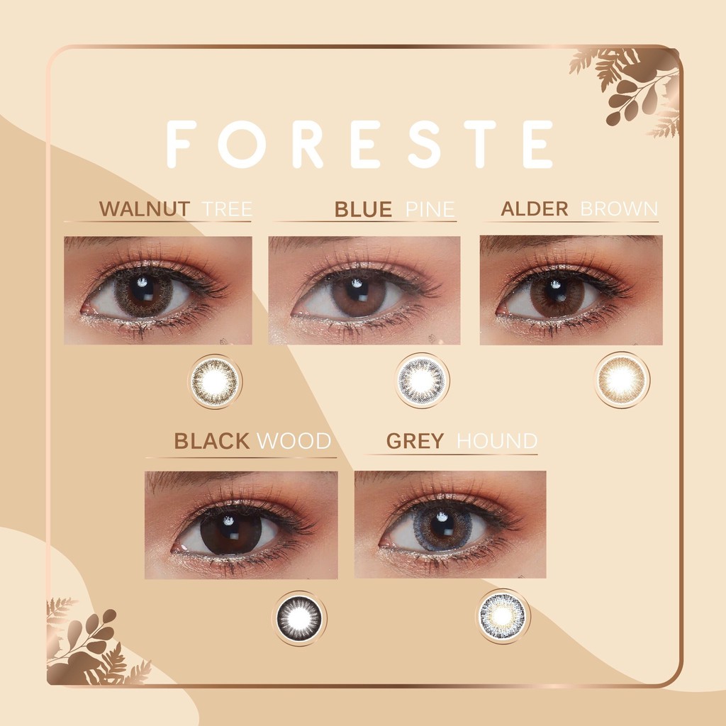 คอนแทคเลนส์สี รายเดือน Foreste