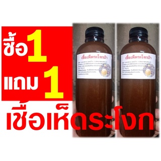 เชื้อเห็ดระโงก ซื้อ 1 ขวดแถม 1 ขวด