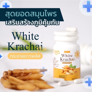 กระชายขาวพลัส White Krachai Plus กระชายขาวสกัดผสมวิตามิน [1กระปุกมี 30 แคปซูล]