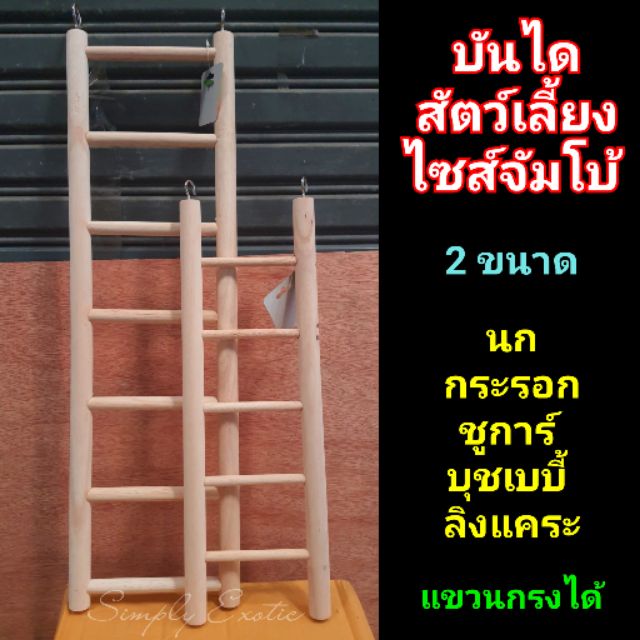 บันไดสำหรับสัตว์เลี้ยง ห้อยกรง แต่งกรงสัตว์ ไซส์จัมโบ้ ใหญ่มาก