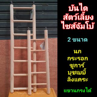 บันไดสำหรับสัตว์เลี้ยง ห้อยกรง ไซส์จัมโบ้