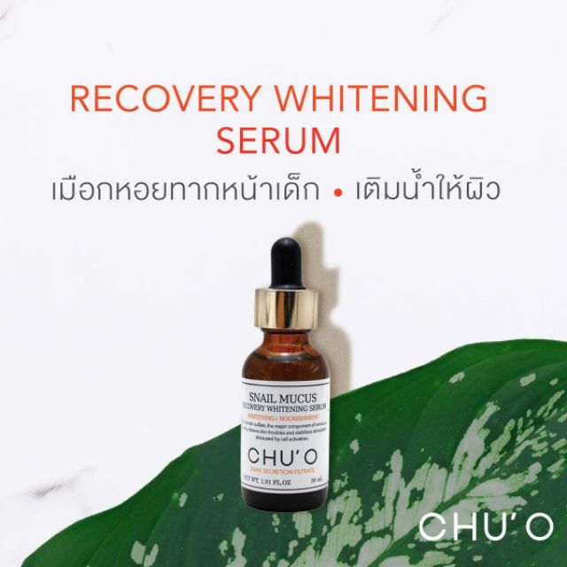 แท้ 💯% Chu'o Snail Mucus Recovery Whitening Serum 30ml.