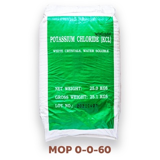 ปุ๋ยเกล็ด 0-0-60 (อิสราเอล) KCl Potassium Chloride 98% (Muriate of Potash; MOP)  บรรจุ 25 กิโลกรัม