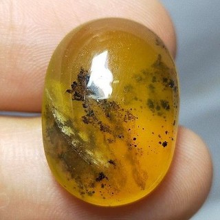 พลอย โอปอล ต้นไม้ ธรรมชาติ แท้ ( Natural Dendritic Moss Opal ) 16.99 กะรัต