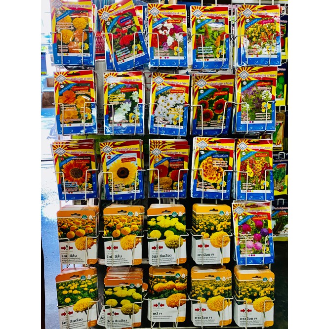 เมล็ดพันธุ์ดอกไม้ (Flower seed)