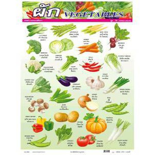 โปสเตอร์ผัก (Vegetables) #PV044 โปสเตอร์สื่อการเรียนการสอน