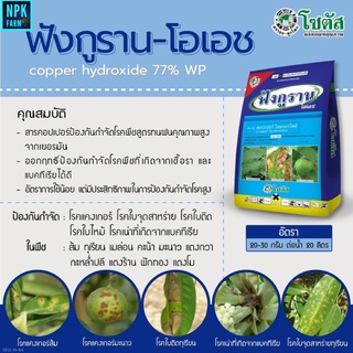 ฟังกูราน 1 กิโลกรัม โซตัส คอปเปอร์ไฮดรอกไซด์ สูตรทนฝน โรคแคงเกอร์ แอนแทรคโนส ราน้ำค้าง ใบไหม้ ใบจุด ใบติด กุหลาบ แคคตัส