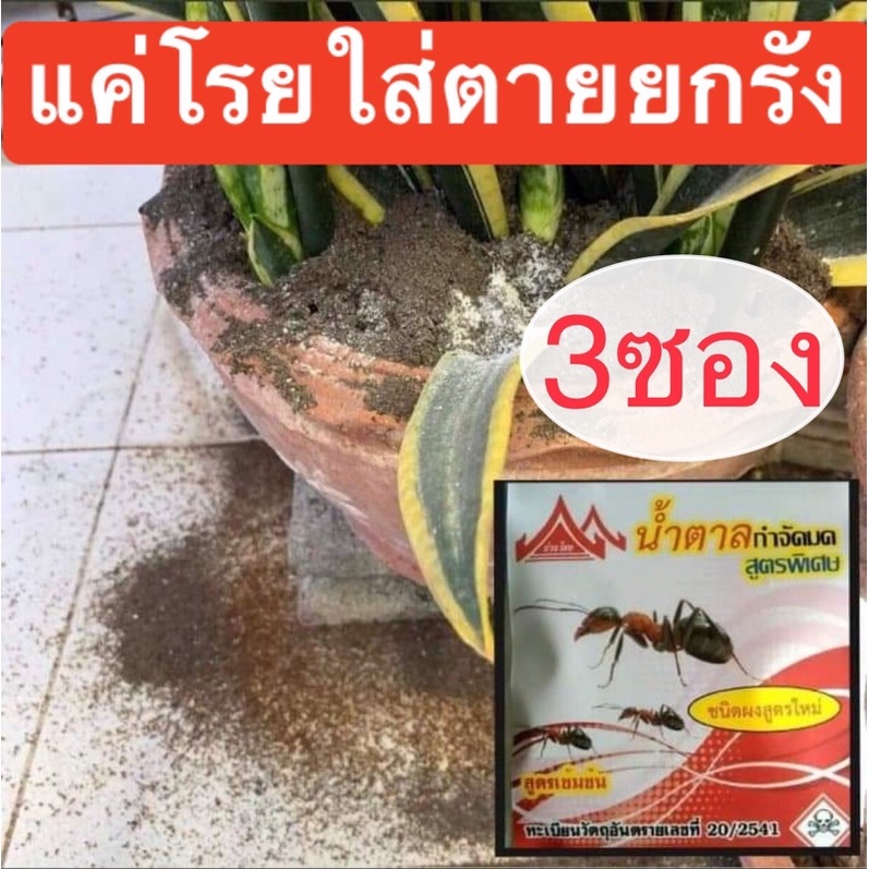 กำจัดมด ตายยกรัง ชนิดซอง20กรัม จำนวน3ซองสุดคุ้ม ใช่ง่ายแค่โรย ออกฤทธิ์นานไม่มีกลิ่น