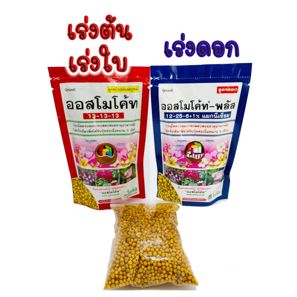 (100กรัม) ปุ๋ยใส่ต้นไม้ ออสโมโคท ออสโมโค้ท osmocote ปุ๋ยแคคตัส สูตร13-13-13 และ 12-25-6+1% ซองแพ็คเกจและซองแบ่งขาย 100g.