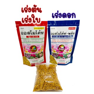 (100กรัม) ปุ๋ยใส่ต้นไม้ ออสโมโคท ออสโมโค้ท osmocote ปุ๋ยแคคตัส สูตร13-13-13 และ 12-25-6+1% ซองแพ็คเกจและซองแบ่งขาย 100g.