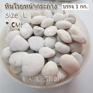 หินกรวด แกลบขาว L หินโรยหน้ากระถาง หินตู้ปลา หินตกแต่งตู้ปลา หินธรรมชาติ