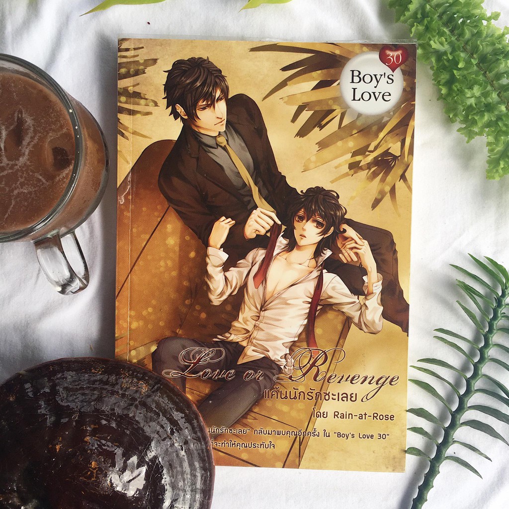 Love or Revenge แค้นนักรักซะเลย (yaoi)
