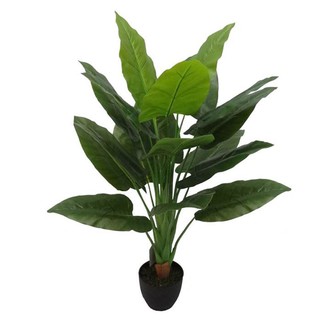 ต้นเศรษฐีวิลสันประดิษฐ์80 ซม. ARTIFICIAL CALLA TREE 80 CM