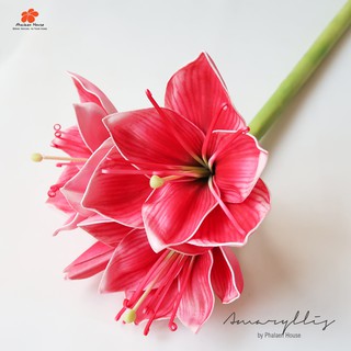 Phalaen House : ดอกว่านสี่ทิศประดิษฐ์(Amaryllis) ว่านสี่ทิศแดง ดอกไม้ประดิษฐ์ ว่าน 4 ทิศ ไม้มงคล สีสันสดใส เหมือนจริง