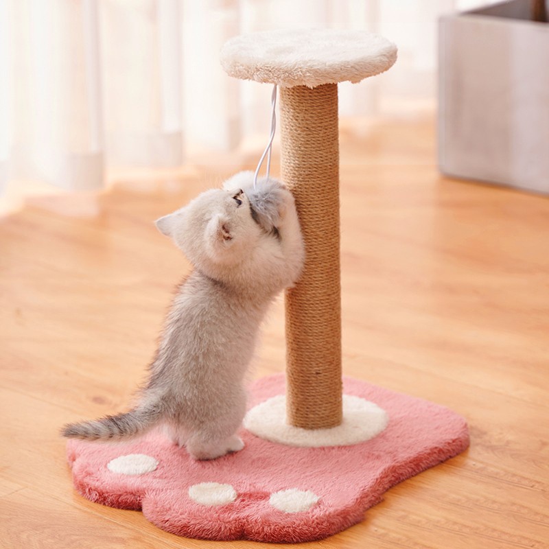 Small Cat Climbing Fun Relieve Boredom Tree House Cat Cat Scratchers