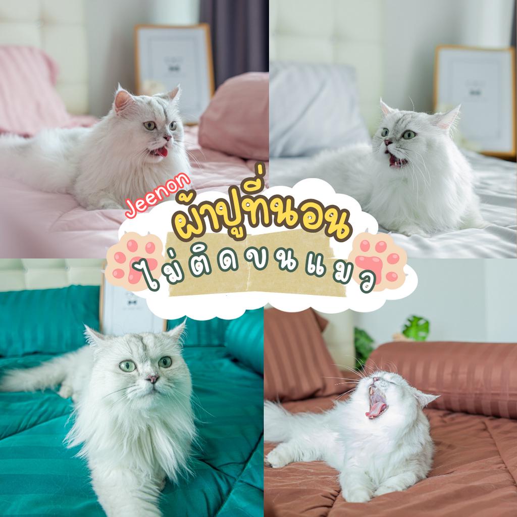 ผ้าปูที่นอนไม่ติดขนแมว รัดมุม 4 มุม 3.5-6ฟุต ผ้านุ่ม ลื่นนิดๆ ปัด ขนแมว ขนหมา ออกง่าย cat Bed sheet