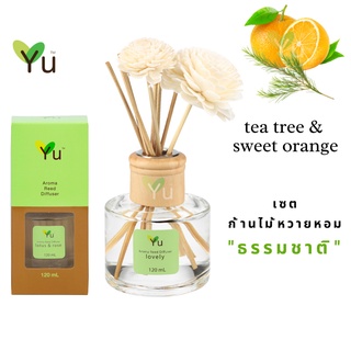 🌟🎁 ก้านไม้หอม120 ml. กลิ่น Tea Tree &amp; Sweet Orange กลิ่นหอมทีทรีและส้มสดชื่น