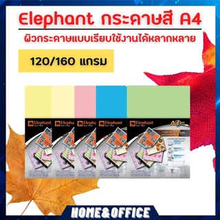 กระดาษ กระดาษสี ตราช้าง A4 การ์ดสี 120/160 แกรม กระดาษสีสวยๆ กระดาษสีพาสเทล กระดาษหน้าปก