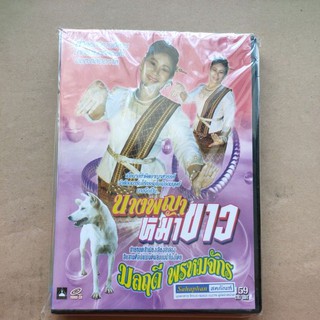 แผ่น VCD เพลงหมอลำ มลฤดี พรหมจักร ชุดนางพญาหมาขาว