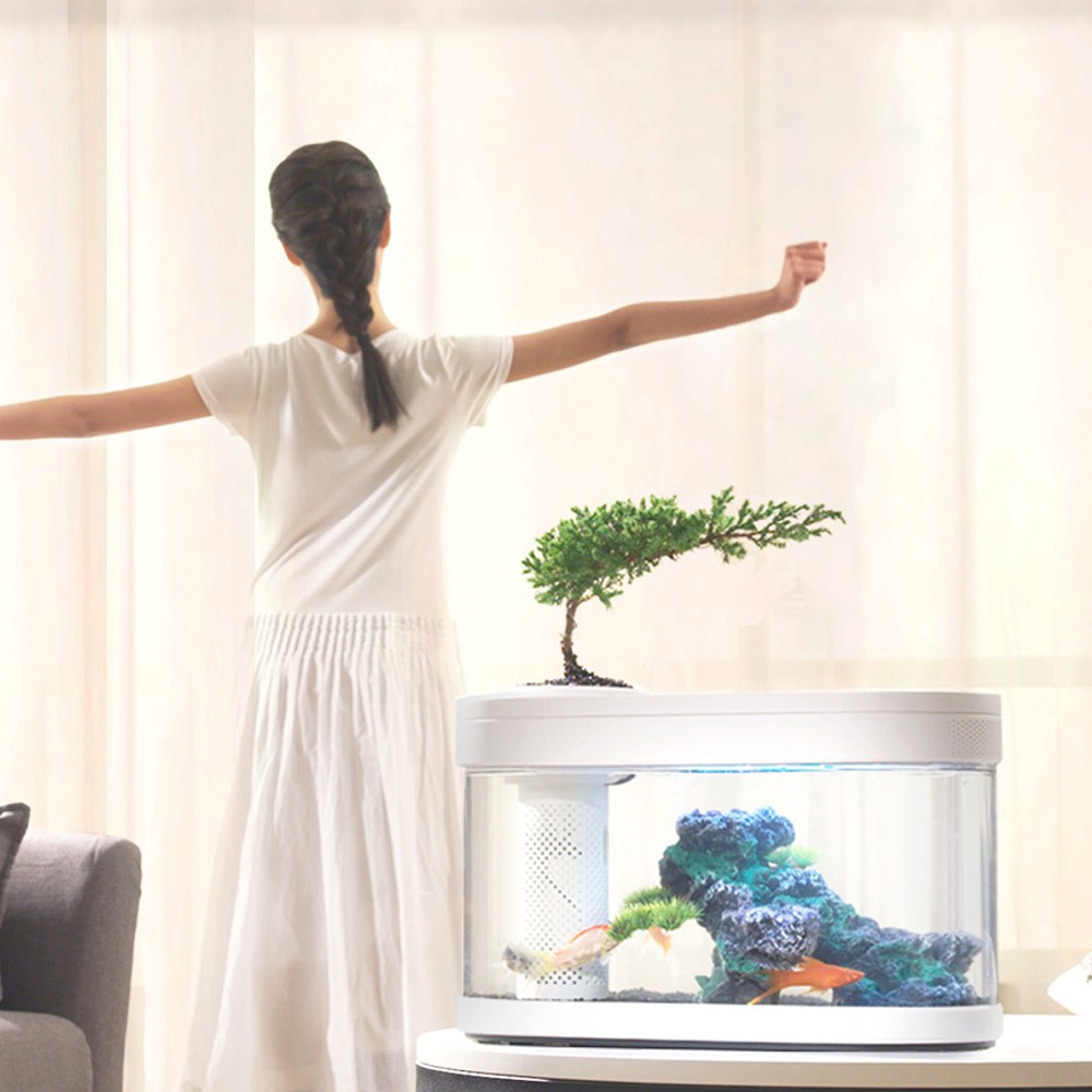 Xiaomi Geometry Fish Tank ตู้ปลาจำลองระบบนิเวศน์ในน้ำ - macmodern ...