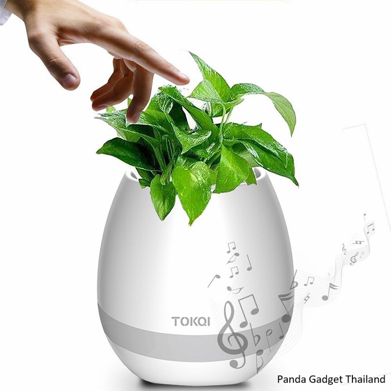 Tokqi K3 Smart Music Flower-pot