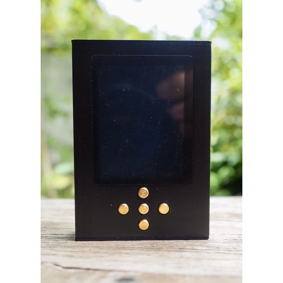 Zishan DSDs (Dual ES9038Q2M)