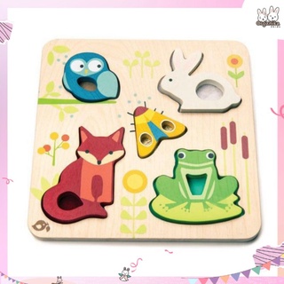 Touchy Feely Animals บอร์ดกระตุ้นประสาทสัมผัสลายสัตว์ ชุดของเล่นไม้เสริมพัฒนาการแบรนด์ Tender Leaf Toys