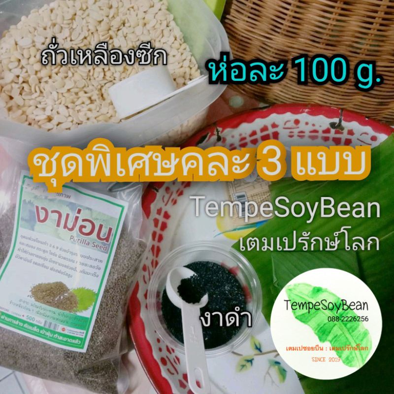 🔥ต้องลอง🔥[ชุด 10 ชิ้น] เต็มเปหรือเทมเป้ผสมงาม่อน งาดำ ชิ้นละ 100 กรัม