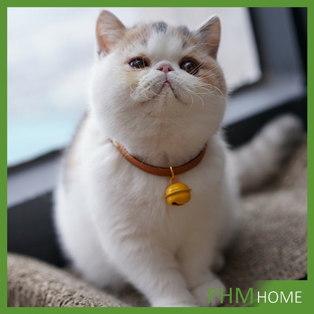 ลูกกระพรวน - กระดิ่งสำหรับใส่ปลอกคอแมว กระพรวน กระดิ่ง น้องแมวหลากสี Cat Bell