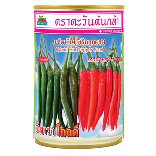 พริกอัมพวาโกลด์ เมล็ดพันธุ์พริก ขนาด 50 กรัม