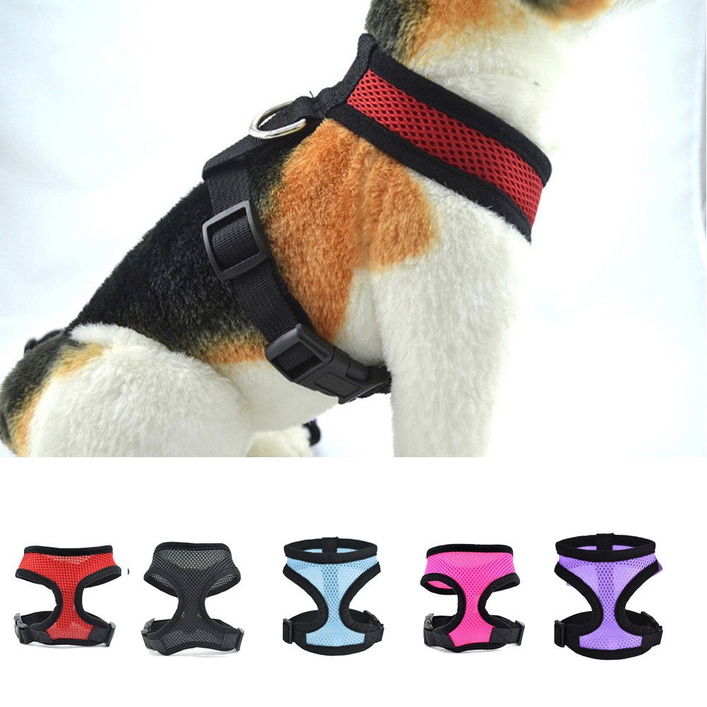 Pet Gift Cat Dog Control Harness Soft Mesh Vest Walk Collar Safety Leash Strap