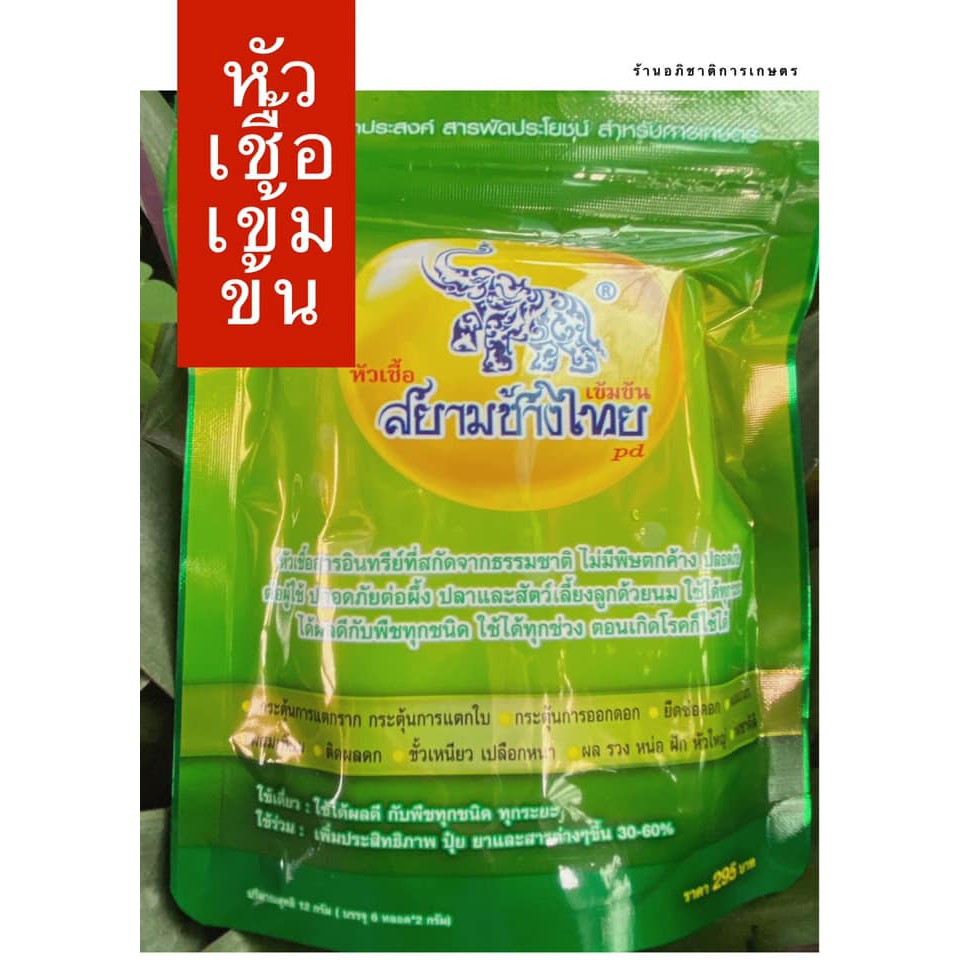 หัวเชื้อ สยามช้างไทย แพ็ก 6 ขวด หัวเชื้ออินทรีย์อเนกประสงค์ ของแท้ 100% [3-063]