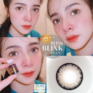 คอนแทคเลนส์🌈Blink Blink🌈 Chestnut / Gray (Wink) ขนาดบิ๊กอาย💖ขายดี🍭