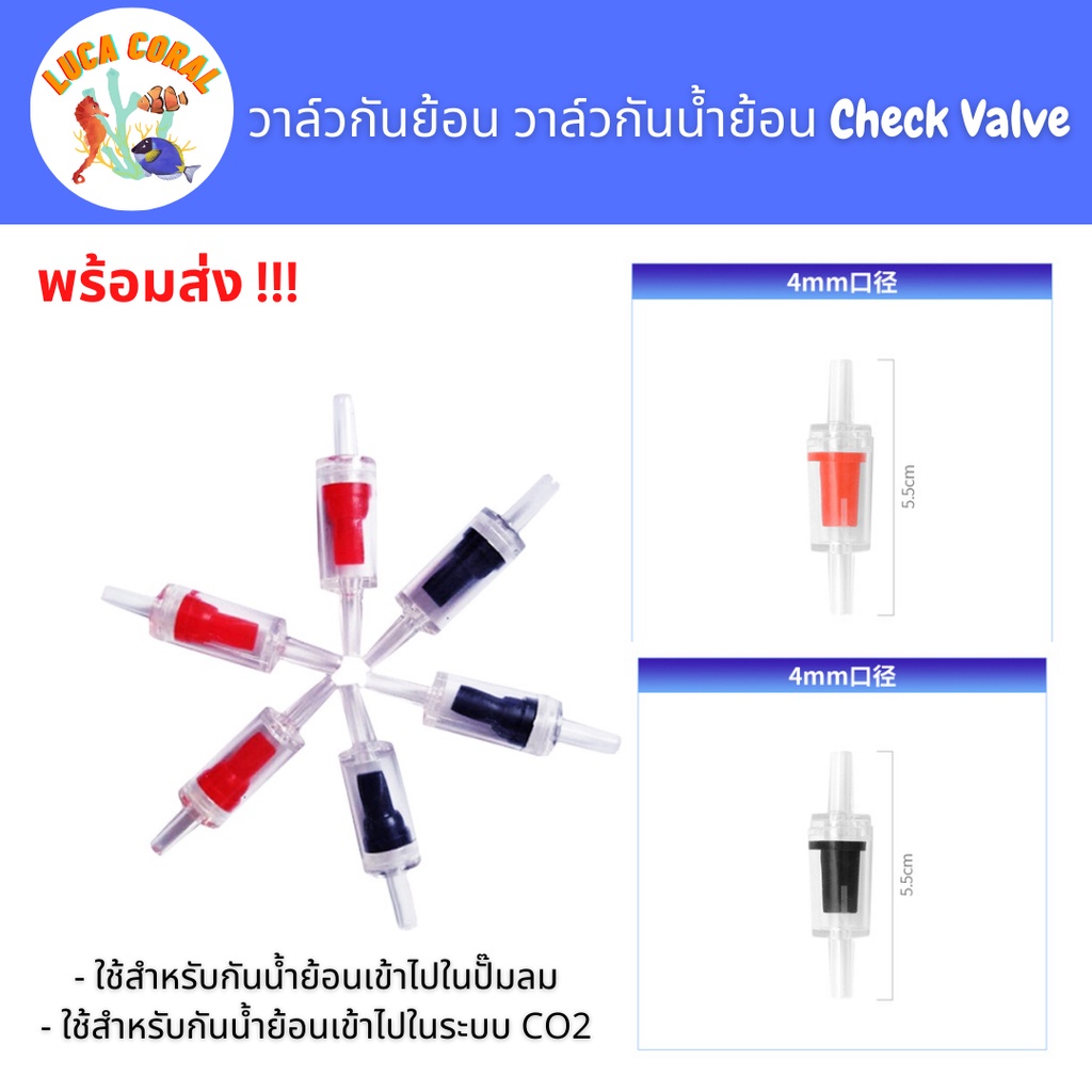 วาล์วกันย้อน วาล์วกันน้ำย้อน Check Valve