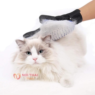 ถุงมือแปรงขนสัตว์เลี้ยง ช่วยกำจัดขนส่วนเกิน สั่งเลย nt99