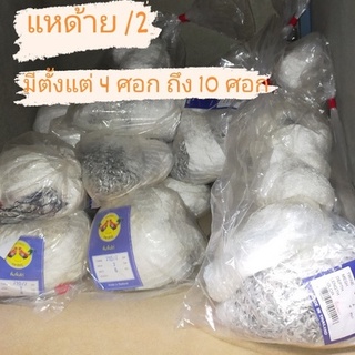 แหด้าย รัง 2 ติดลูกแล้ว แหสำเร็จ