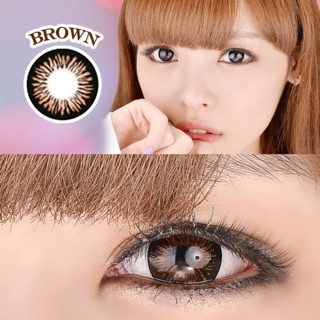 Tiger Brown / Tiger Black / Tiger Gray / Pussy cat บิ๊กอาย สีเทา สีน้ำตาล สีดำ เทา ดำ เน้นขอบดำ ตาโต คอนแทคเลนส์ ลายฮิต