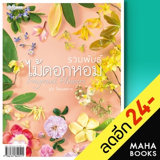 รวมพันธุ์ไม้ดอกหอม : Fragrant Flowers | บ้านและสวน อุไร จิรมงคลการ