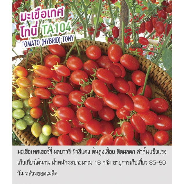 เมล็ดพันธุ์ มะเขือเทศโทนี่ มะเขือเทศเชอร์รี่ โทนี่ - Tomato (Hybrid) Tony ตราดอกแตง เมล็ดพันธุ์ คุณภาพ "เพื่อนเกษตรกร"