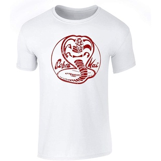 เสื้อยืดแขนสั้นลําลอง พิมพ์ลายกราฟฟิค Dojo Distressed Retro Martial Arts สีขาว สําหรับผู้ชาย