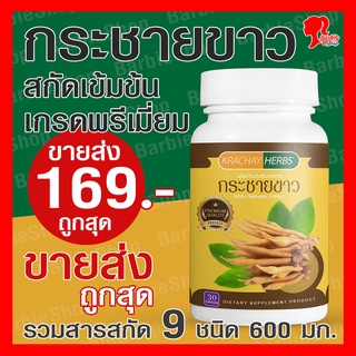 Flash Sale ! - กระชายขาวสกัดเข้มข้น เกรดพรีเมี่ยม ตำรับพิเศษพร้อมสารสกัดคุณภาพเพื่อดูแลสุขภาพ แบรนด์กระชายเฮิร์บ  - [BarbieShop จัดส่งเร็ว สินค้าแท้ 100%]