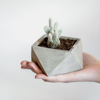 (Grey Shade) Triangle Pot 8 cm. กระถางต้นไม้ กระถางปูนเปลือย