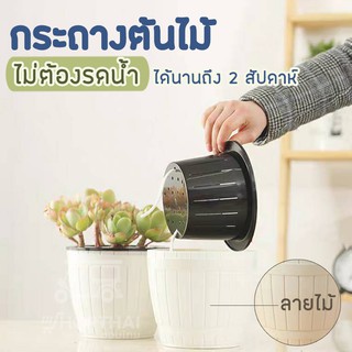 🔥 พร้อมส่ง 🔥 กระถางต้นไม้🌳 รดน้ำเอง อัตโนมัติ ไม่ต้องรดน้ำ 2 สัปดาห์ กระถางพลาสติก ปลูกต้นไม้ กระถางรดน้ำต้นไม้อัตโนมัติ
