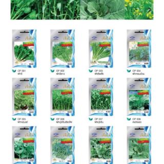 #4 ผักซอง🌱เจียไต๋ ตราเครื่องบิน (ซื้อ 10 ฟรี 1 ซอง คละได้)​