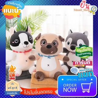 ตุ๊กตาผ้าห่ม Husky Bull Terrier หมอนผ้าห่ม ตุ๊กตามีผ้าห่ม 3 ฟุต ผ้านิ่ม ผ้าเด้ง ตุ๊กตาหมา ผ้าห่ม