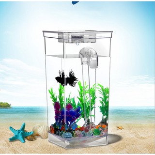 ตู้ปลามินิ ตู้ปลาจิ๋ว ตู้ปลากรองน้ำ myfun fish tank-19Jun-J1