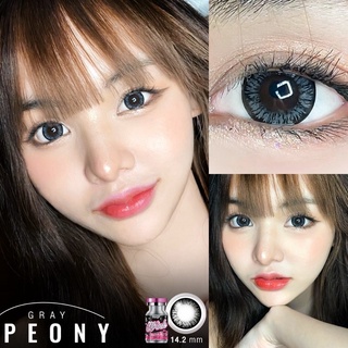 💖 Peony Gray 💖 Wink Wow บิ๊กอาย สีเทา เทา ขอบดำ โทนแบ๊ว Contact Lens คอนแทคเลนส์ Bigeyes ค่าสายตา ตาโต ค่าสายตา แฟชั่น