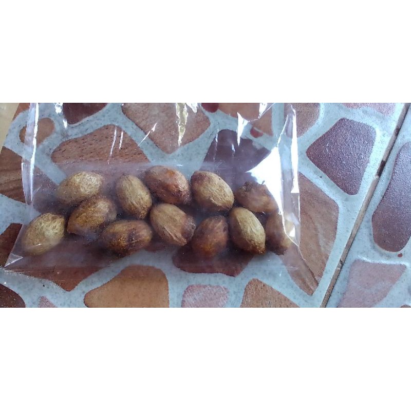เมล็ดพันธุ์มะกอกป่า (20/50เมล็ด)